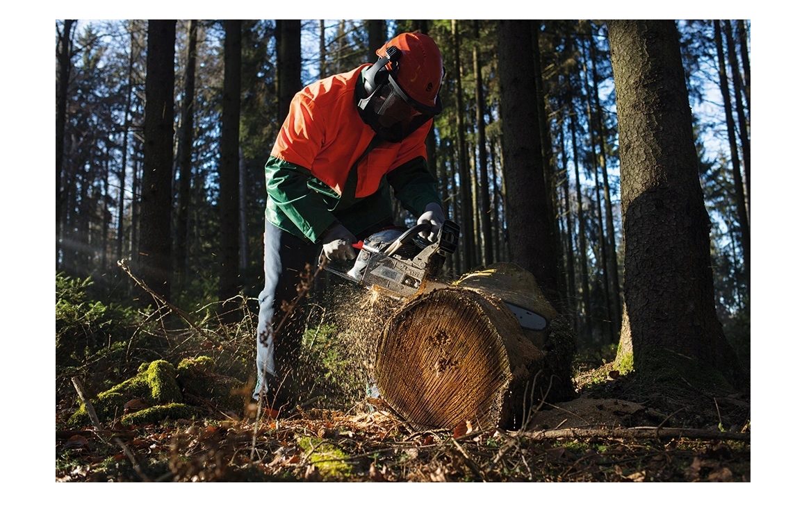 Petrol chainsaw Chainsaw for forestry work in an XXL starter set