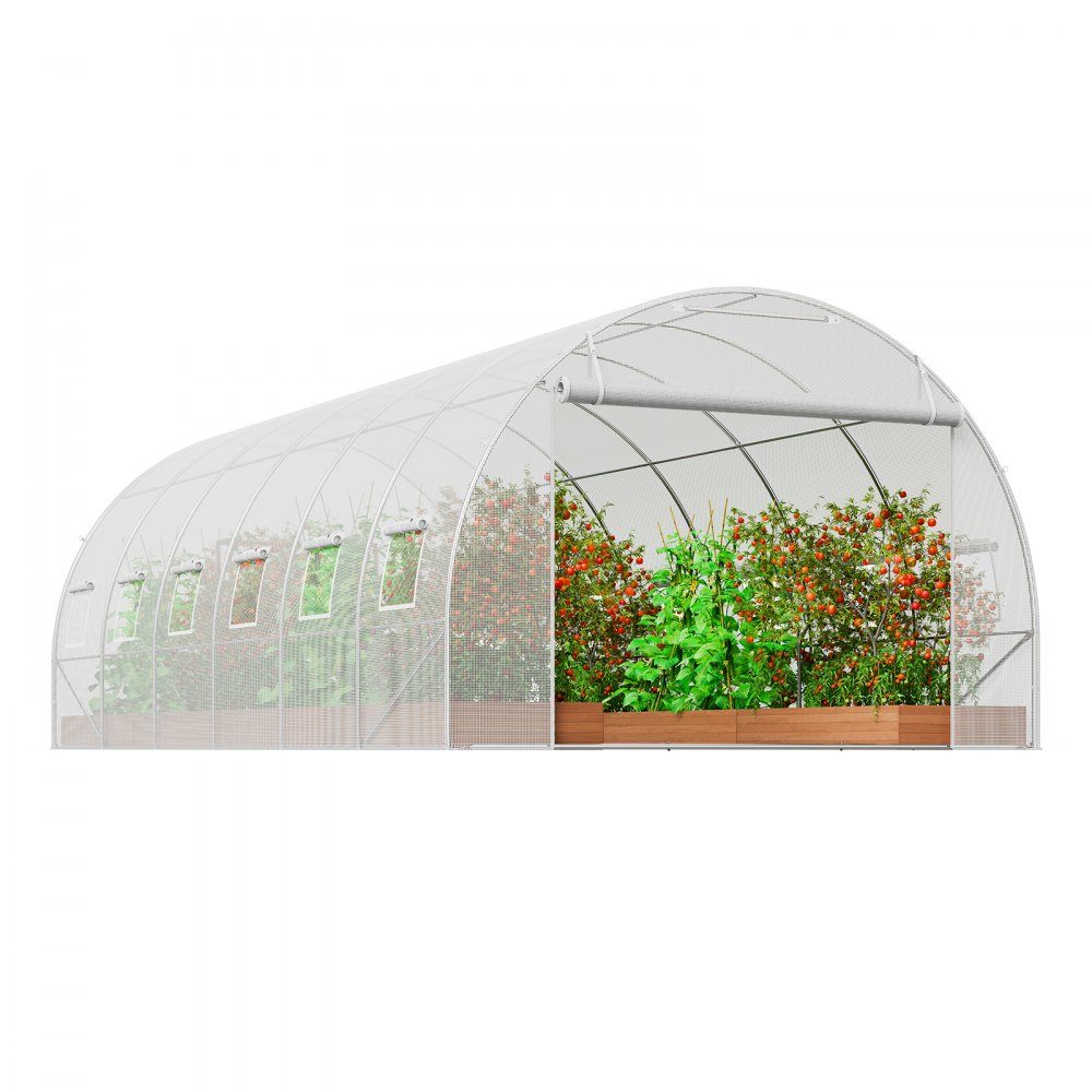 Walk-in tunnel greenhouse, 6.8 x 2.8 x 2.0 m, film greenhouse tunnel, plant greenhouse with galvanized steel frame, white PE cover, roll-up zipper door and 12 windows for outdoor use