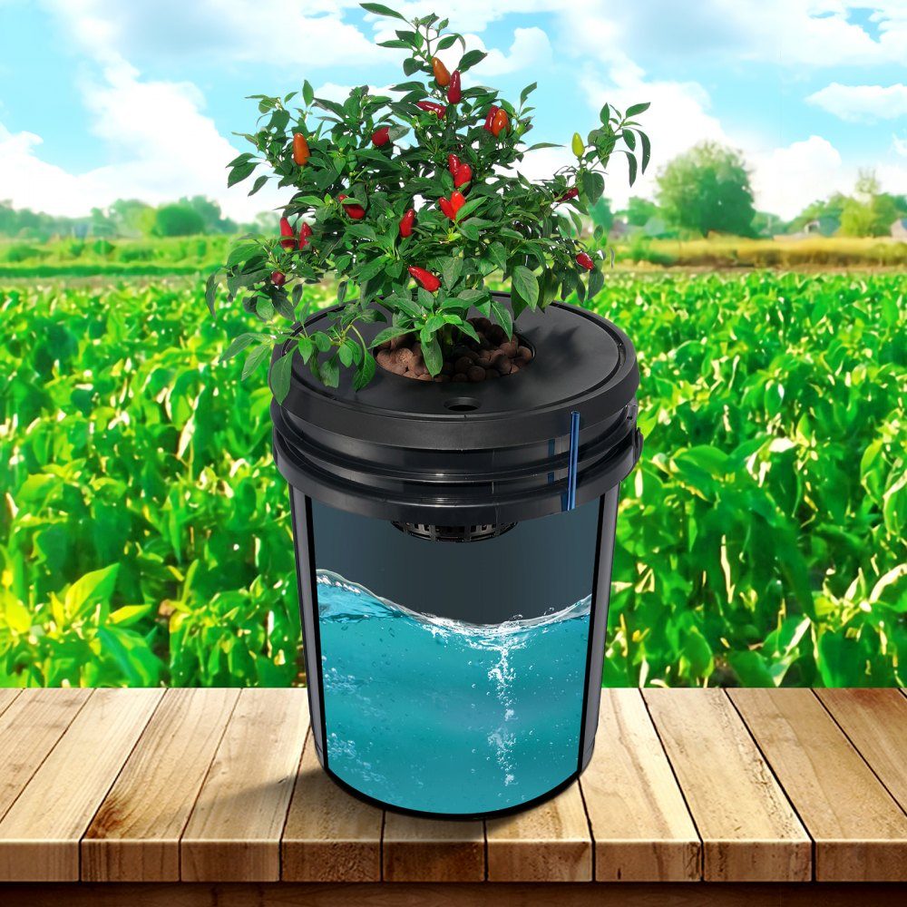 DWC Hydroponics Grow System, Hydroponic Growing System, Deep Water Culture 5 Gallonen 4 Eimer, DWC System mit Luftpumpe, Luftsteinen und Wasserstandsanzeige für Blattgemüse