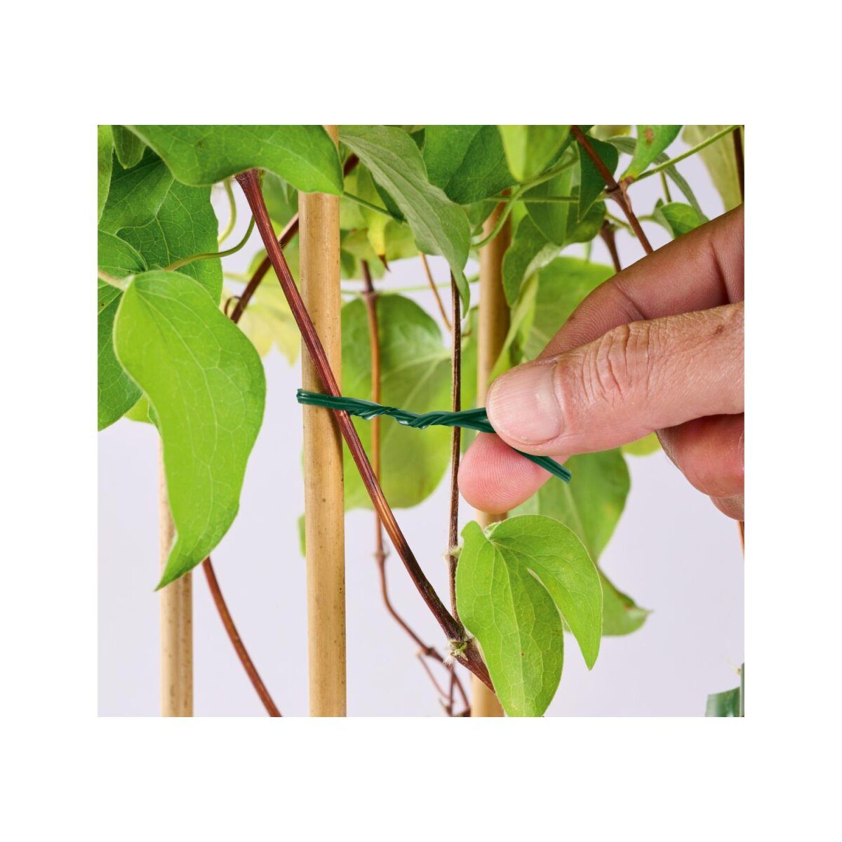 PARKSIDE® Growth Aid Kit / Plant Wire Kit