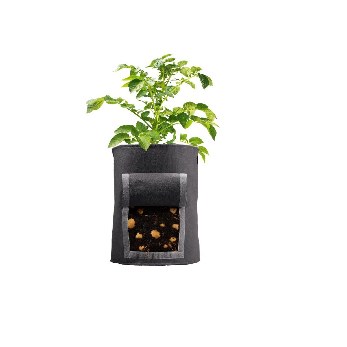 PARKSIDE® plantenzakkenset, 2 stuks, gemaakt van vilt