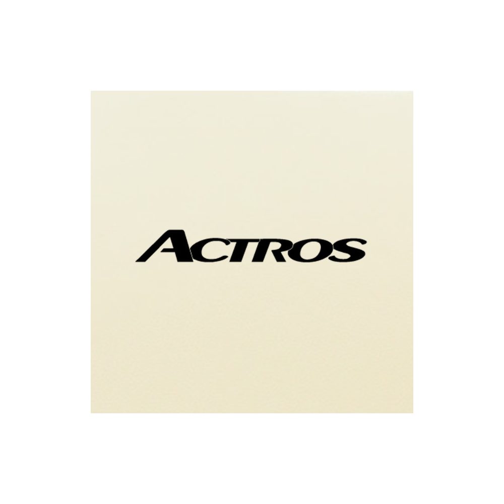 EMBROIDERY – ACTROS LETTERING
