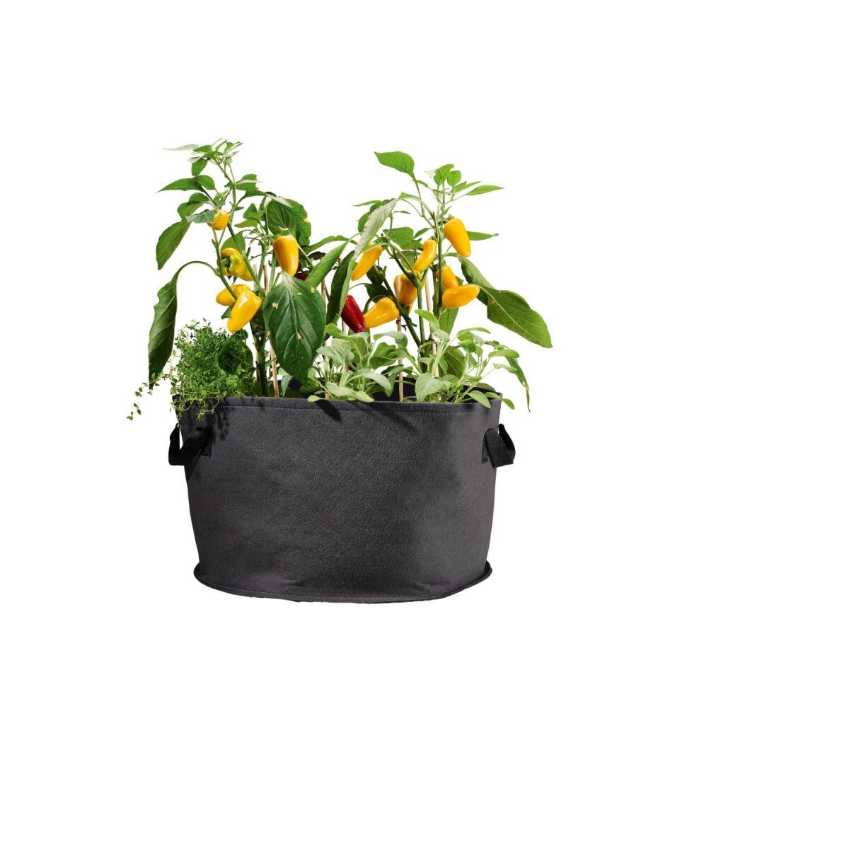 PARKSIDE® plantenzakkenset, 2 stuks, gemaakt van vilt