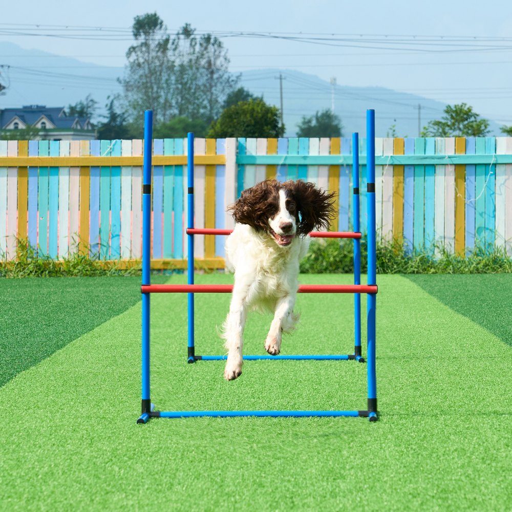 Équipement d'entraînement d'agilité pour chien, ensemble de 7 pièces avec haies hautes réglables, 6 poteaux de slalom, 2 tunnels, anneau de saut, boîte de frein, 3 frisbees, sifflet, bol pliable, ensemble de parcours d'obstacles pour chiot avec 3 sacs