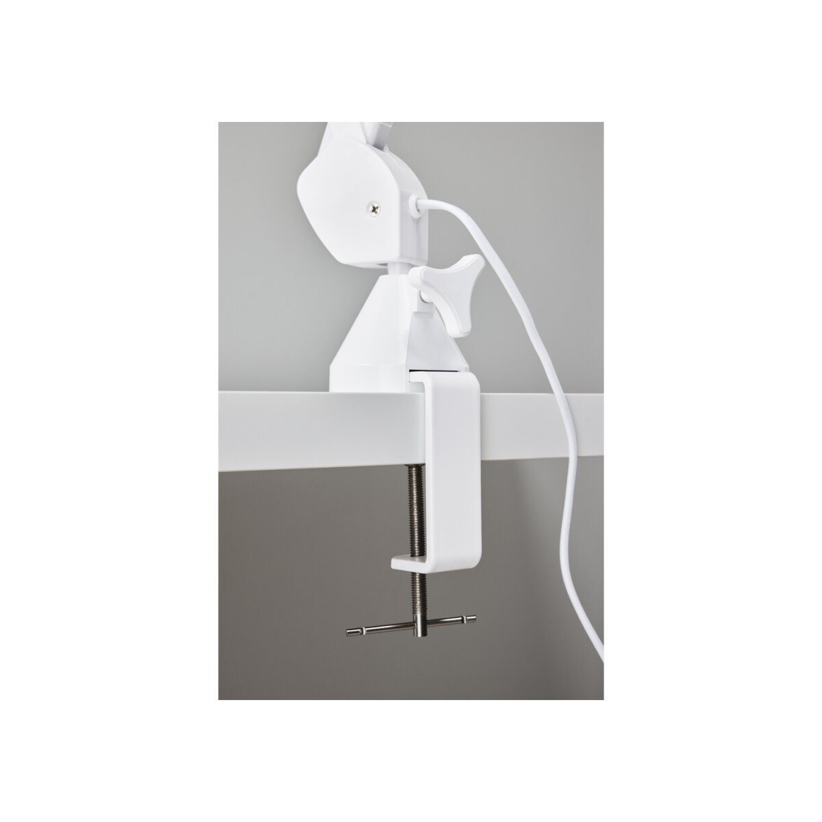 LIVARNO home LED-Lampe, mit Lupe