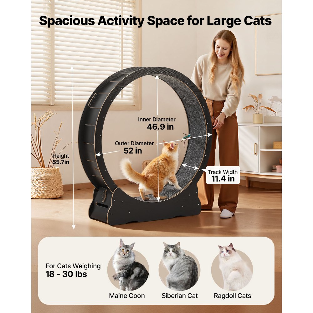 Roue d'exercice pour chat, diamètre intérieur 118 cm, roue d'exercice en bois pour chats jusqu'à 13,6 kg, tapis roulant pour chat avec bande de roulement en tapis et mécanisme de verrouillage, jouet silencieux pour chat d'intérieur, noir Roue d'exercice pour chat, diamètre intérieur 118 cm, roue d'exercice en bois pour chats jusqu'à 13,6 kg, tapis roulant pour chat avec bande de roulement en tapis et mécanisme de verrouillage, jouet silencieux pour chat d'intérieur, noir