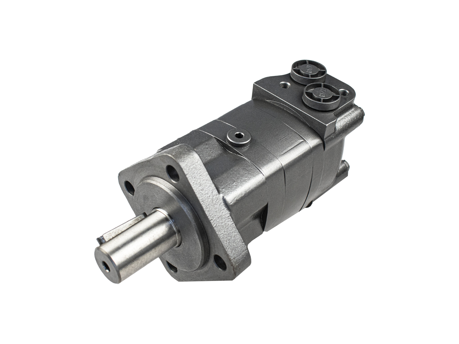 Hydraulikmotor Hydraulikmotor BM5 ALSG3 SMS OMZS OMSS BMS OMS 395cm 3