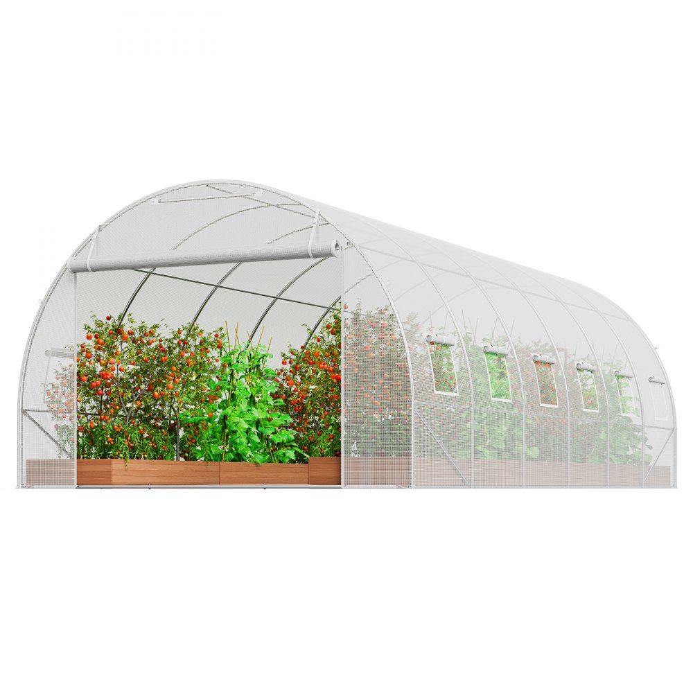 Walk-in tunnel greenhouse, 6.8 x 2.8 x 2.0 m, film greenhouse tunnel, plant greenhouse with galvanized steel frame, white PE cover, roll-up zipper door and 12 windows for outdoor use
