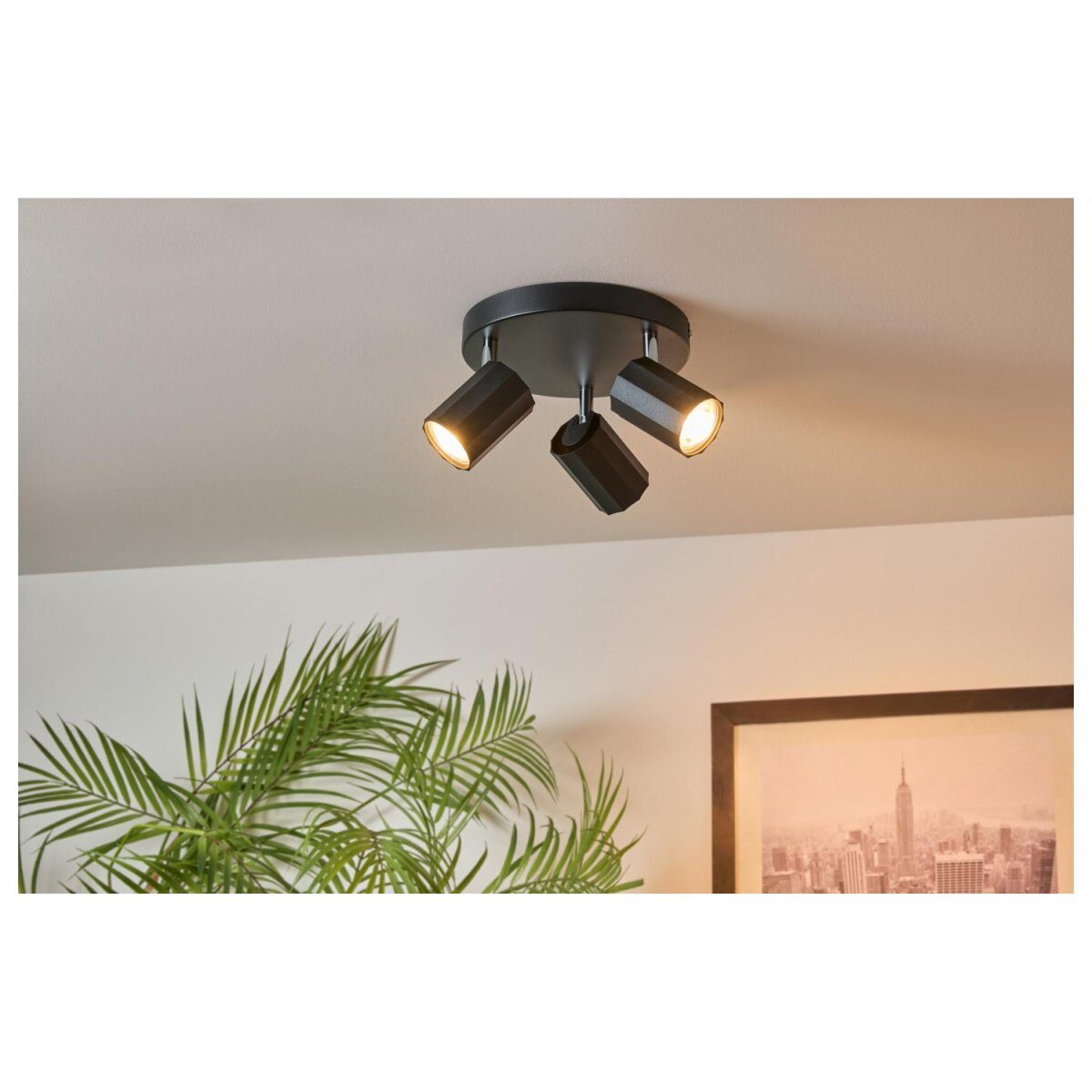 LIVARNO home ceiling spotlight / track light, with 3 tilting and swiveling spots