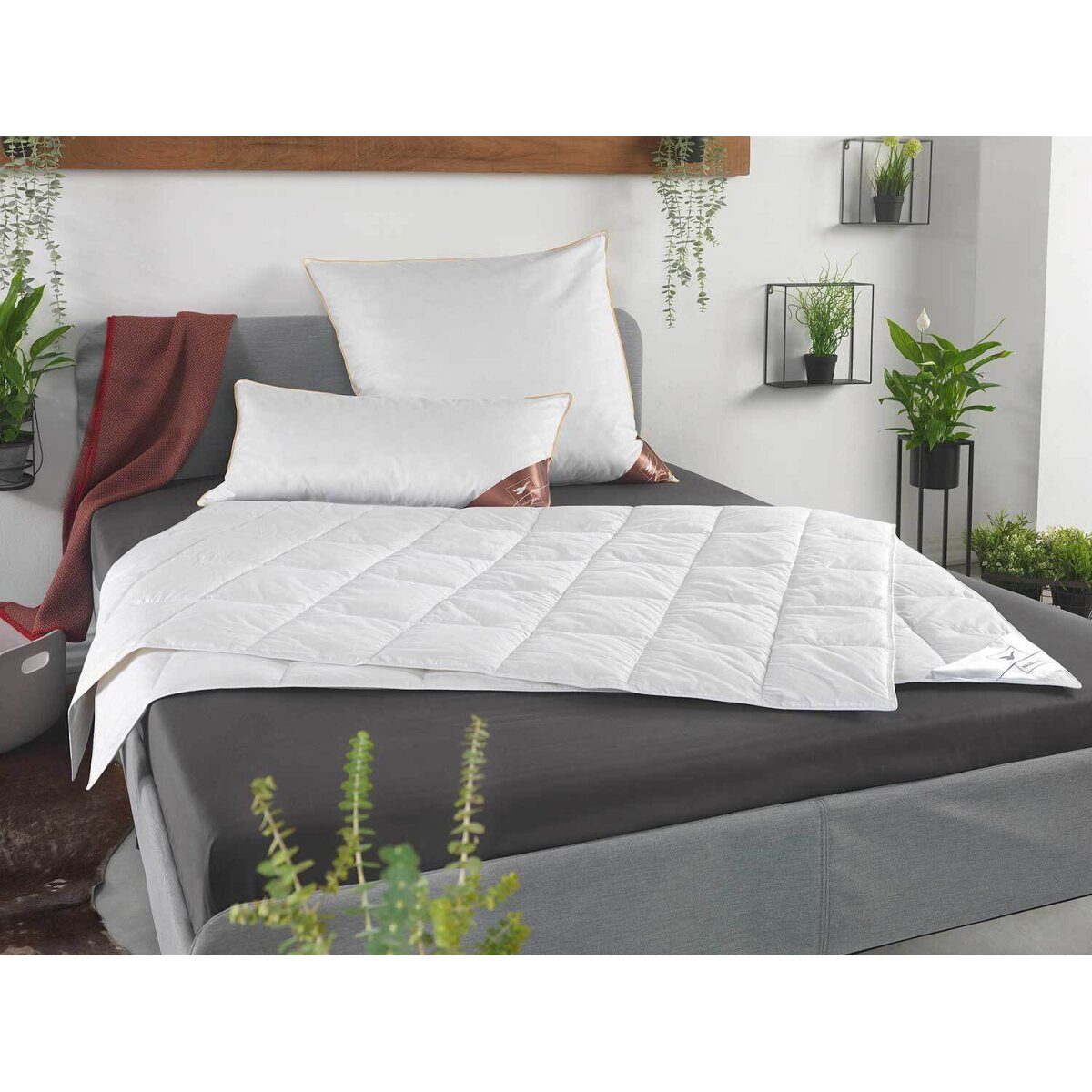 HÄUSSLING couette en duvet/d'été (200 x 200 cm)