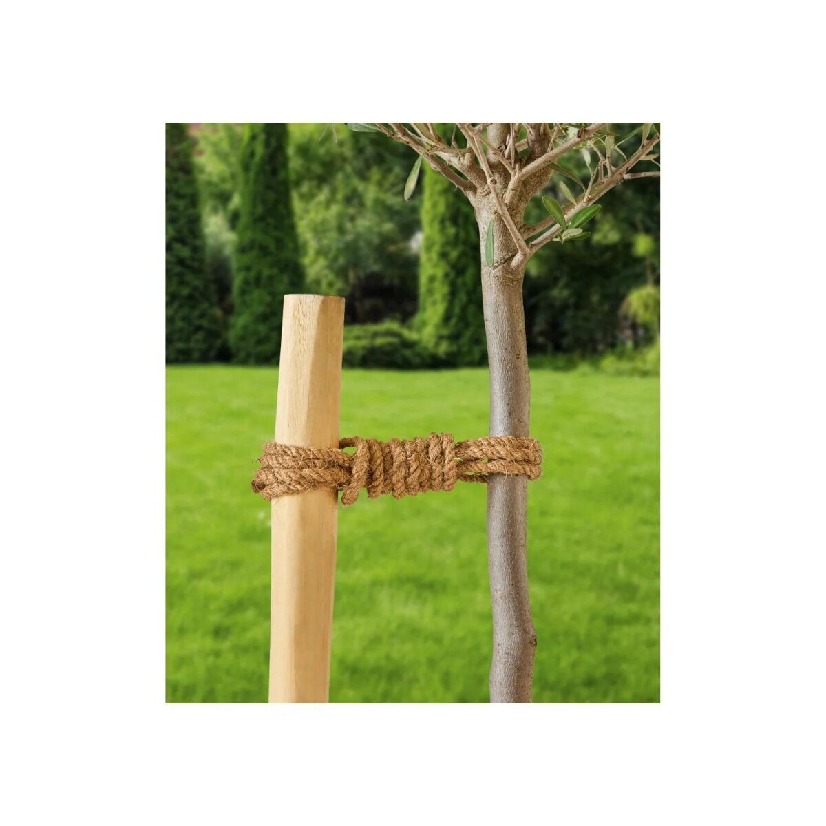 PARKSIDE® coconut rope, 100 m
