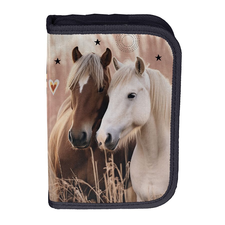 Etui met paardenkenmerken