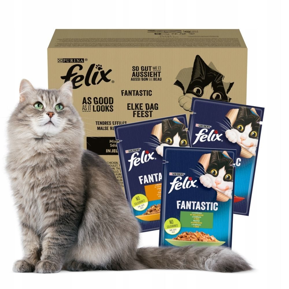 Felix Fantastic Meat 48x85g mélange de saveurs nourriture pour chat