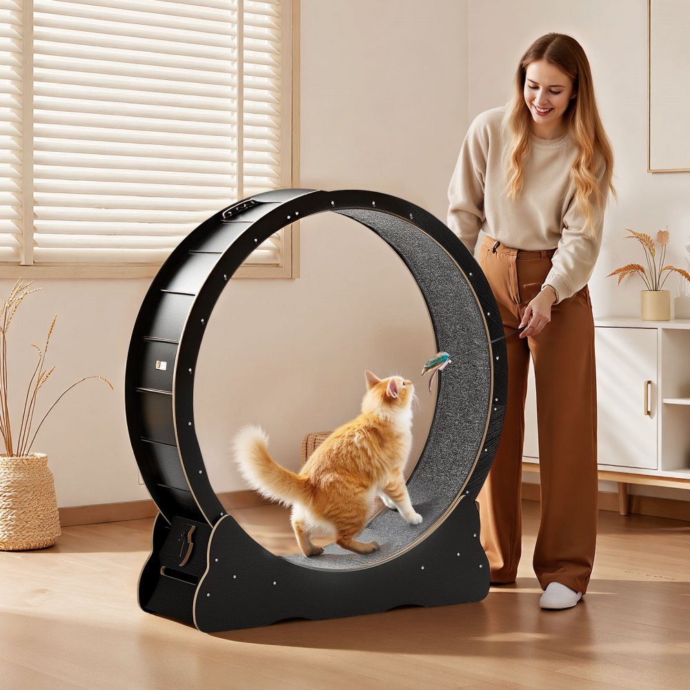 Vélo d'exercice pour chat, roue d'exercice en bois de 1080 mm de diamètre intérieur pour chats de 8,6 à 12,7 kg, tapis roulant pour chat avec tapis de sol et mécanisme de verrouillage, jouet silencieux pour chats d'intérieur, noir