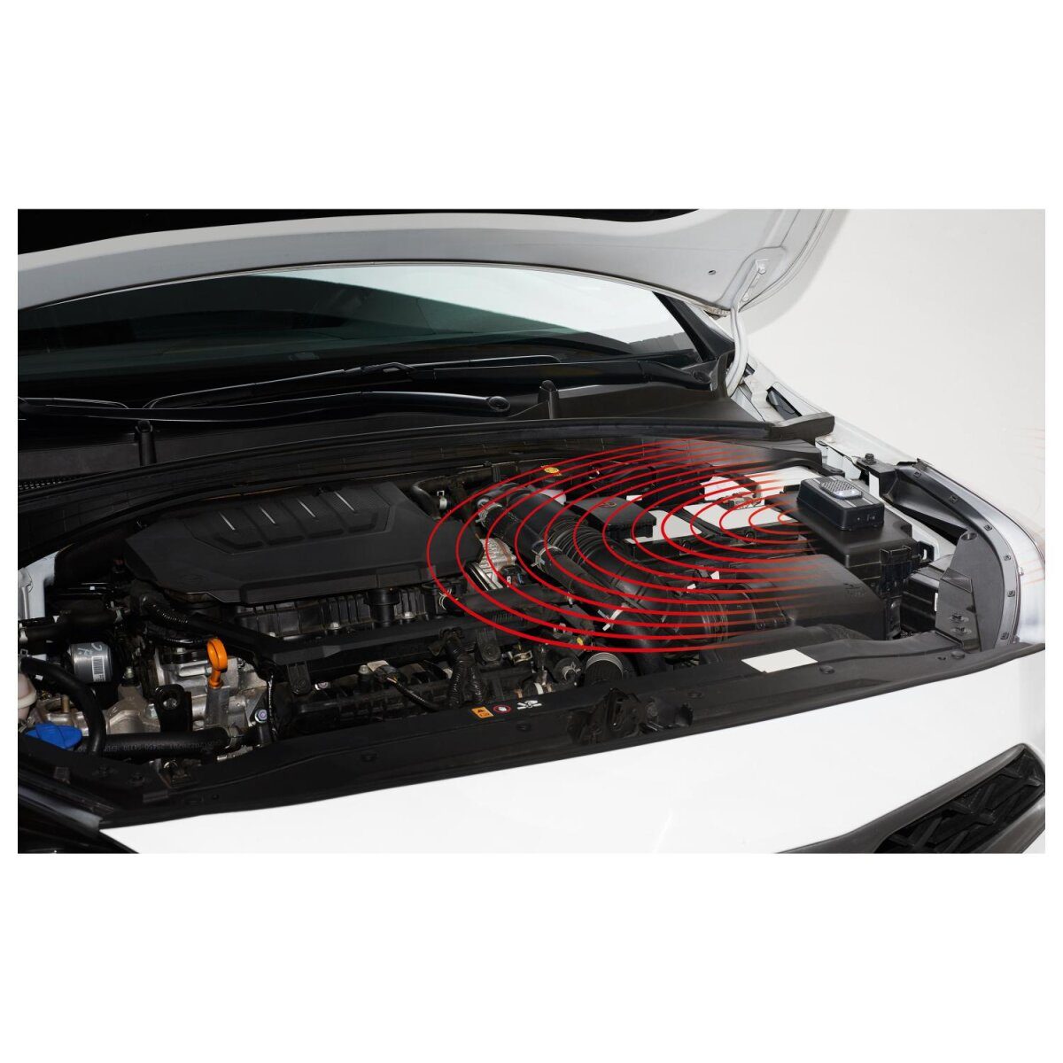 ULTIMATE SPEED® Ultraschall-Marderschreck mit Blitzlicht