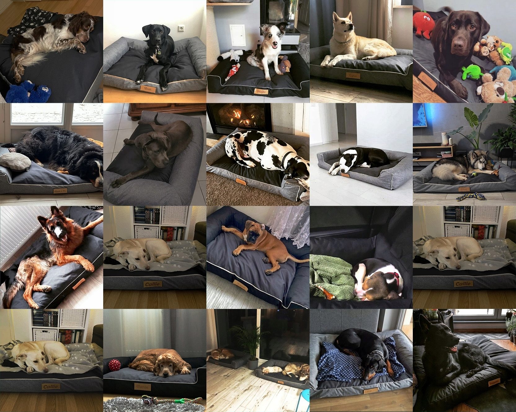 Design handmade dog bed dog cushion sofa dog sofa animal bed cat bed dog basket sleeping place with name plate