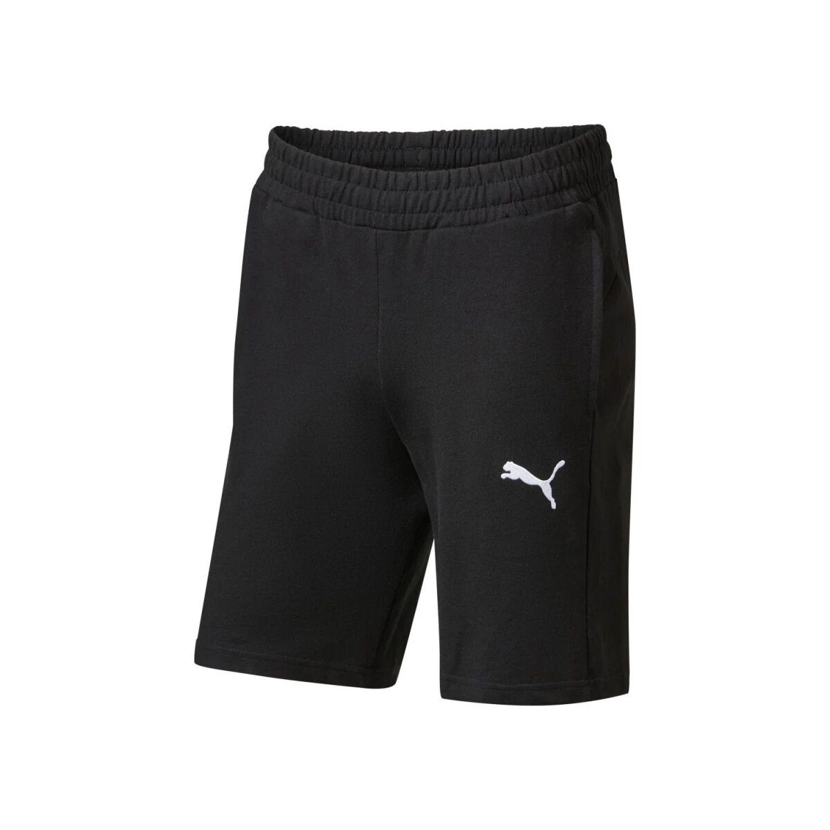 PUMA Herren Sweatshorts »TeamGOAL Casuals«, mittlere Bundhöhe (Schwarz, L)