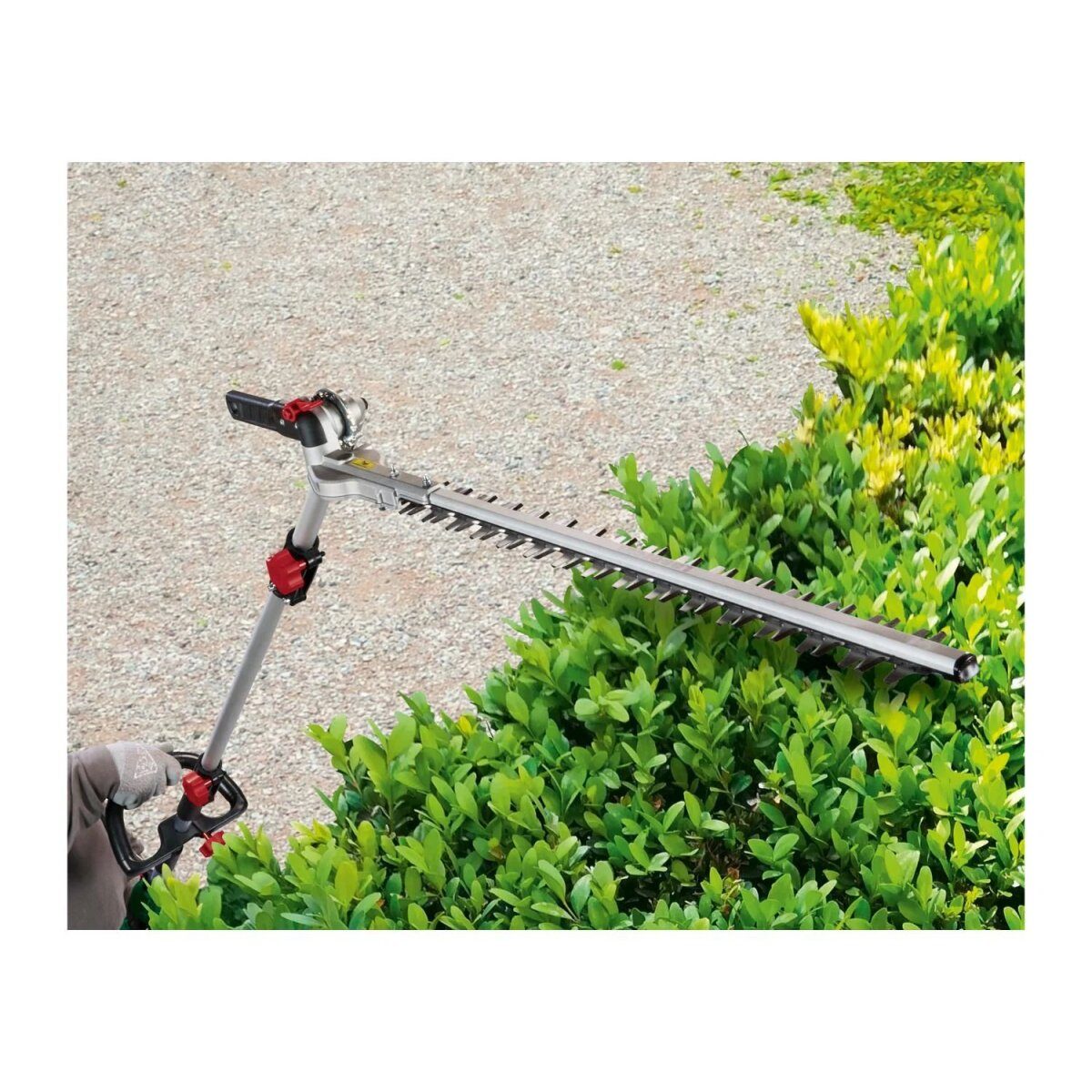 Nożyce do żywopłotu PARKSIDE® »PEHSL 800 A1«