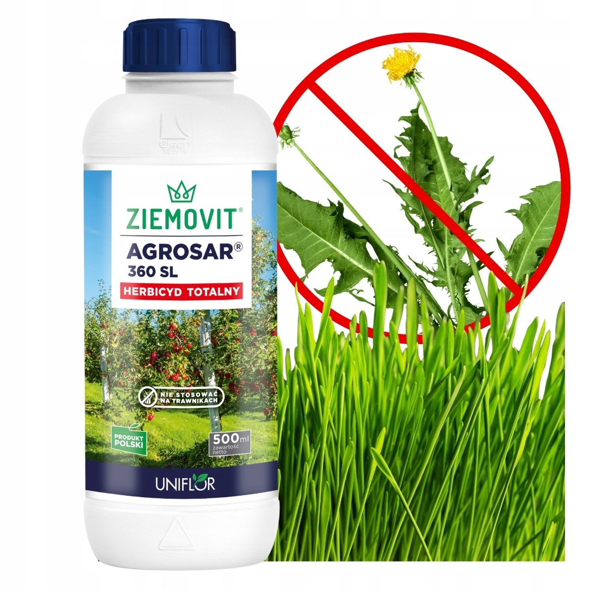 AGROSAR 360 SL szybko i skutecznie zwalcza chwasty na chodnikach Zwalczanie chwastów 1L