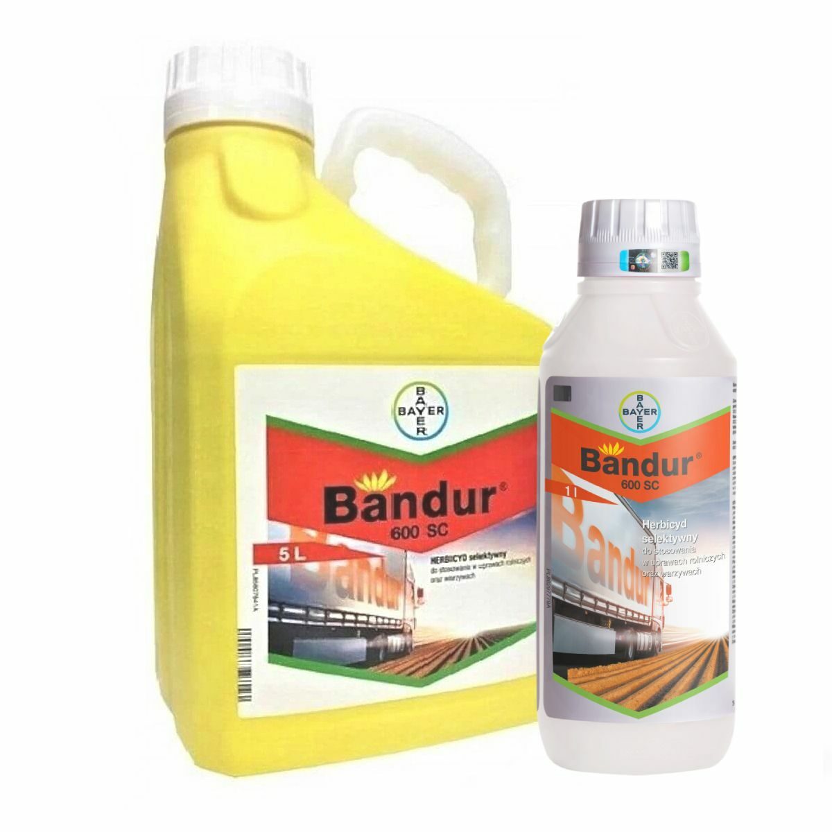 BANDUR 600 SC (Aclonifen)