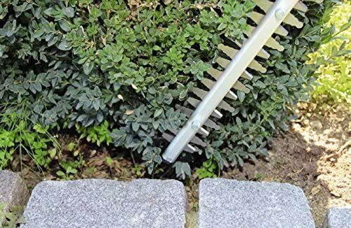 Einhell Elektro-Heckenschere GC-EH 5550 (550 Watt, 500 mm Schnittlänge, 26 mm Zahnabstand, geringes Gewicht, inklusive Aluminium-Messerabdeckung)
