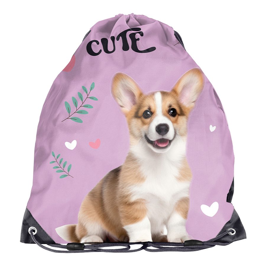 Cute Corgi lunch box