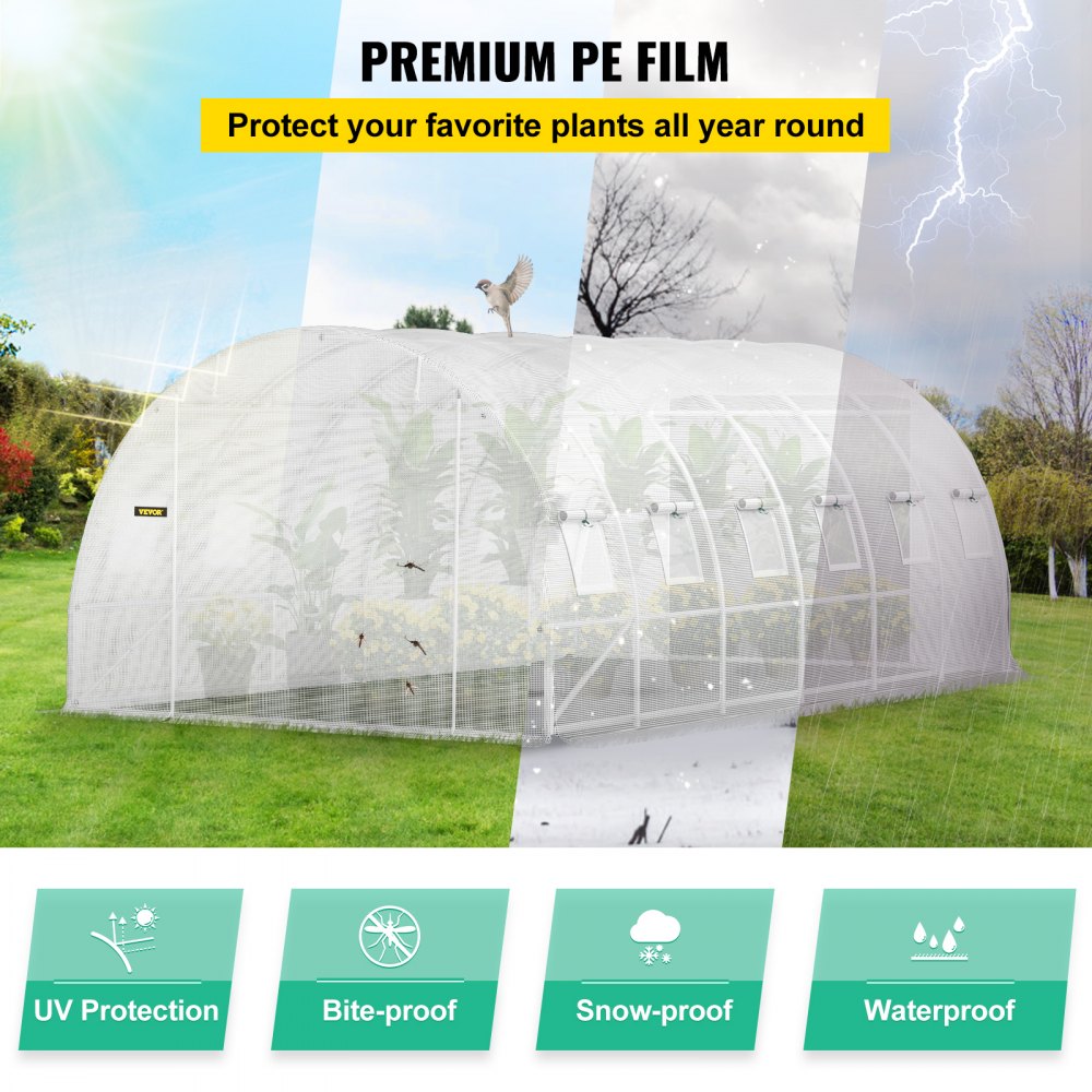 Serre film 6,1 x 3 x 2,1 m, serre avec toit voûté, structure en acier galvanisé, 140 g/cm³, serre mobile en PE, cadre froid étanche et résistant aux UV, adaptée à la culture de légumes, fleurs, plantes. Serre film 6,1 x 3 x 2,1 m, serre avec toit voûté, structure en acier galvanisé, 140 g/cm³, serre mobile en PE, cadre froid étanche et résistant aux UV, adaptée à la culture de légumes, fleurs, plantes.