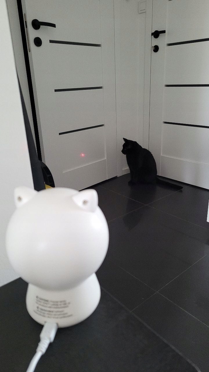 Jouet pour chat Tesla Smart Laser Cat Buddy