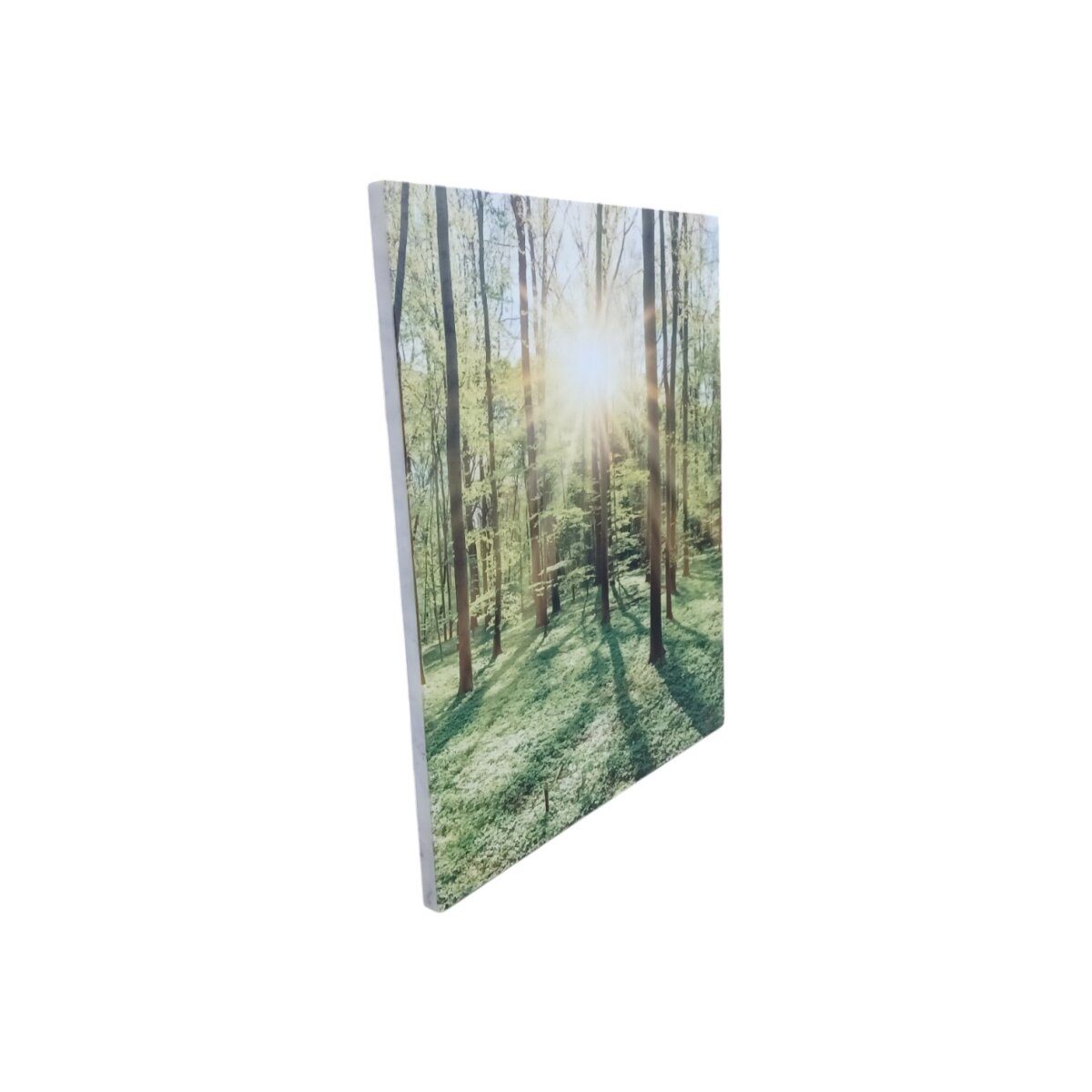 marmony® Infrarot-MOTIV-Heizkörper 500 W mit Thermostat MTC-40 (Wald)