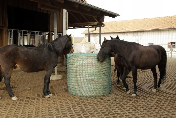 Premium Pferde-Rundballen-Heunetz 1,50m x 1,50m