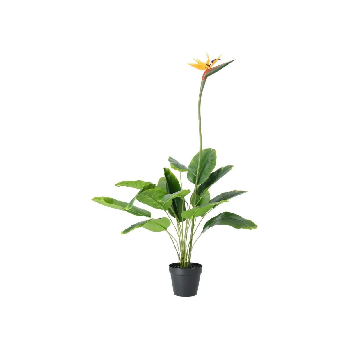 LIVARNO® artificial plants