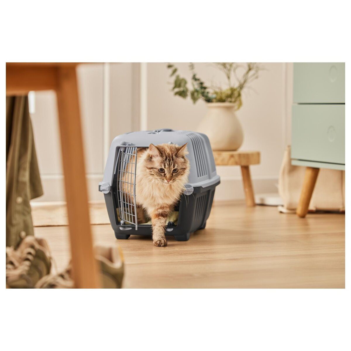 ZOOFARI® kattentoilet/transportbox (transportbox)