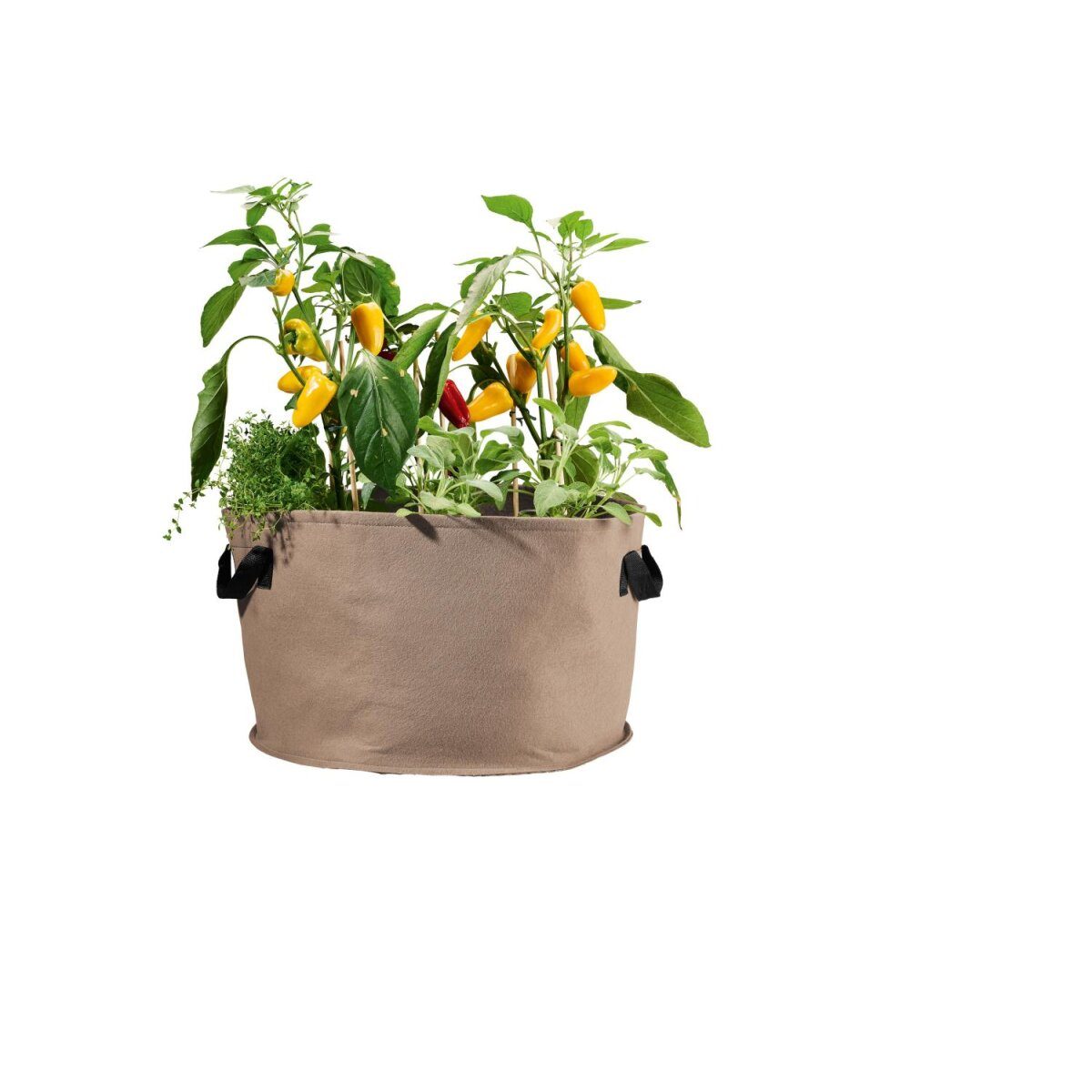 PARKSIDE® plantenzakkenset, 2 stuks, gemaakt van vilt