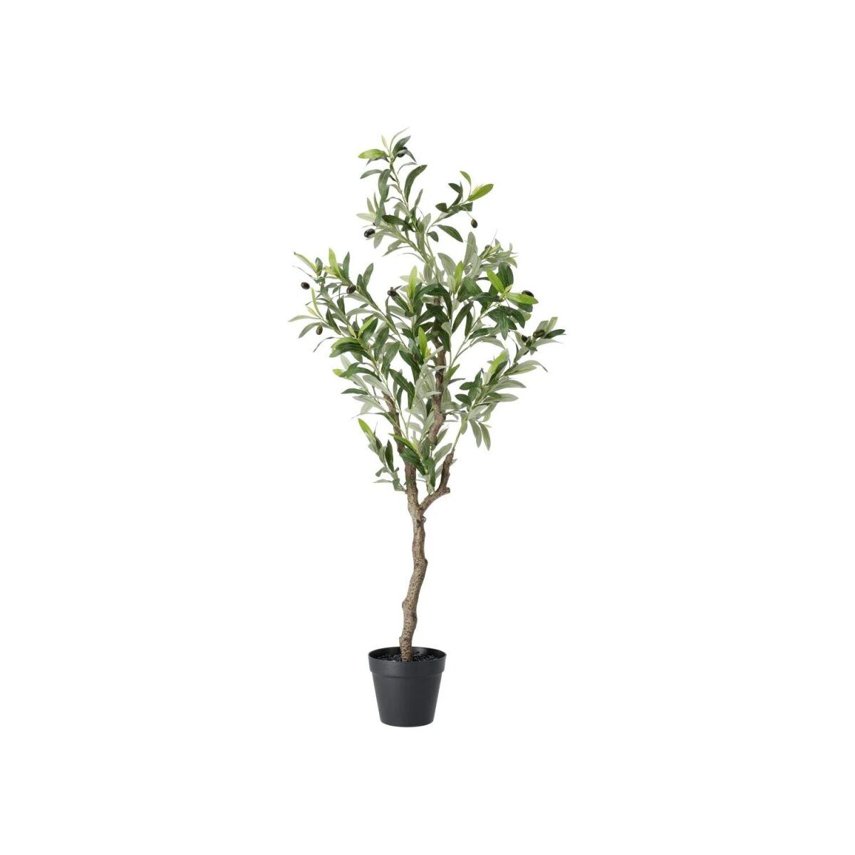 LIVARNO® artificial plants