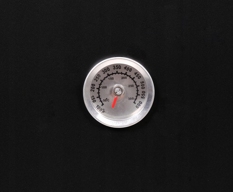 *Best-seller* Grill Smoker Smoker Smoker Cabinet avec thermomètre