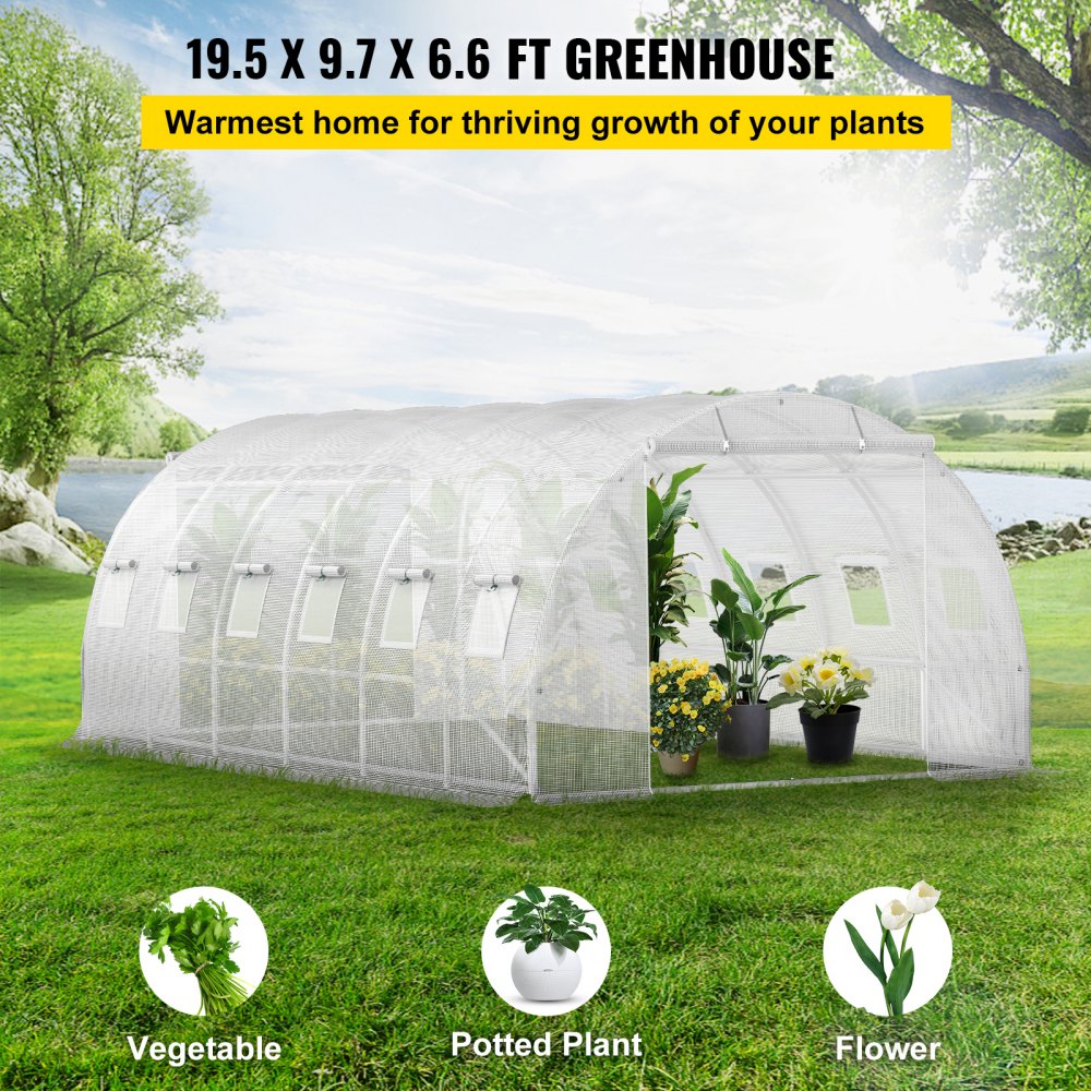 Serre film 6,1 x 3 x 2,1 m, serre avec toit voûté, structure en acier galvanisé, 140 g/cm³, serre mobile en PE, cadre froid étanche et résistant aux UV, adaptée à la culture de légumes, fleurs, plantes. Serre film 6,1 x 3 x 2,1 m, serre avec toit voûté, structure en acier galvanisé, 140 g/cm³, serre mobile en PE, cadre froid étanche et résistant aux UV, adaptée à la culture de légumes, fleurs, plantes.