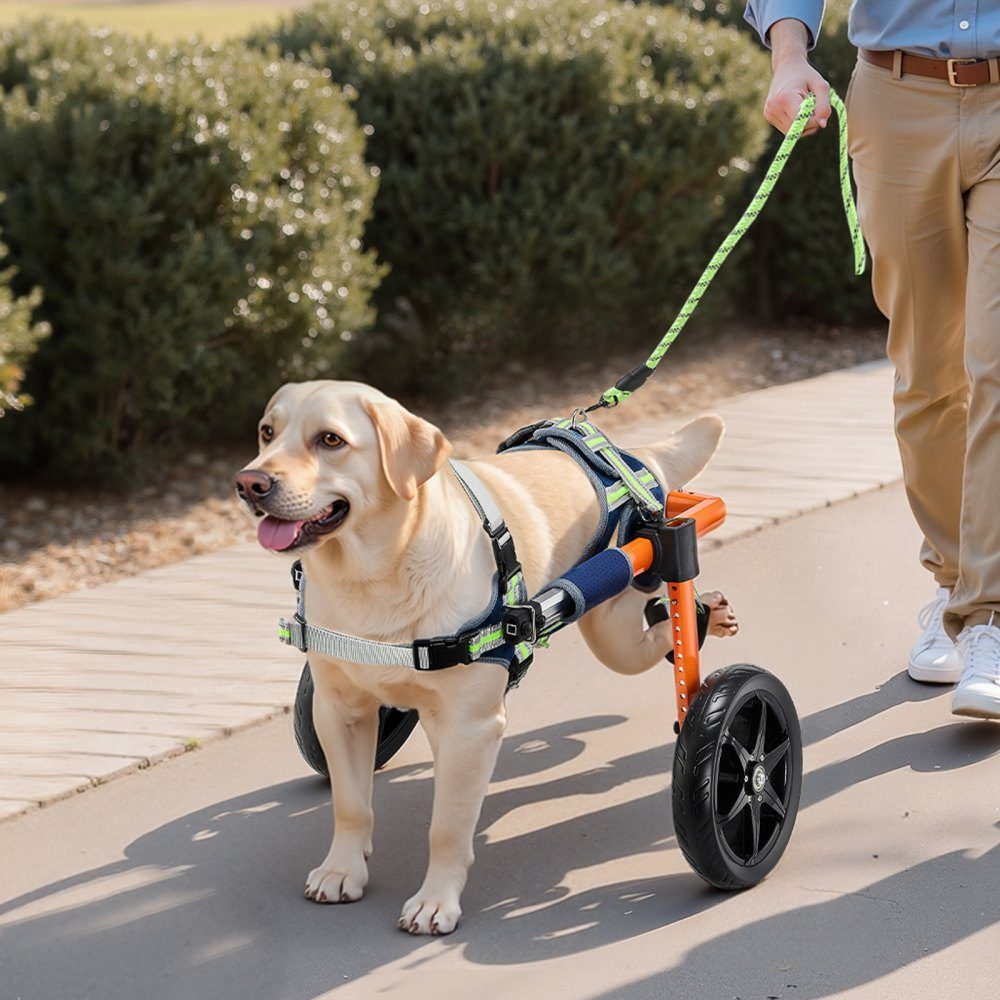 Fauteuil roulant pour pattes arrières, fauteuil roulant pour animaux de compagnie, hauteur, largeur et longueur réglables, poussette pour chien avec roues absorbant les chocs, pour blessés et handicapés Dogs 30-50 lb