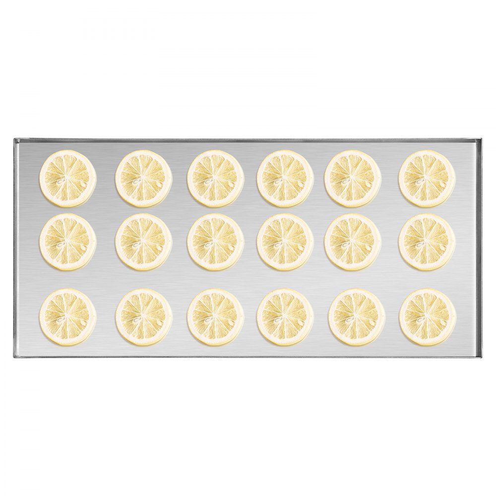 Freeze Dryer Freeze Drying Machine Drying Equipment (4-6kg Capacity) for Food with 4 Layer Trays and Adjustable Temperature and Time, for Fruit Black