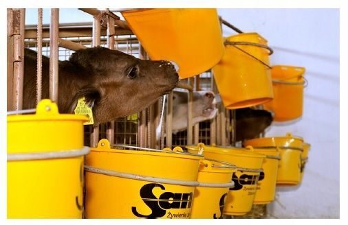 SANO Milli NON_GMO Milch für Kälber 25 kg