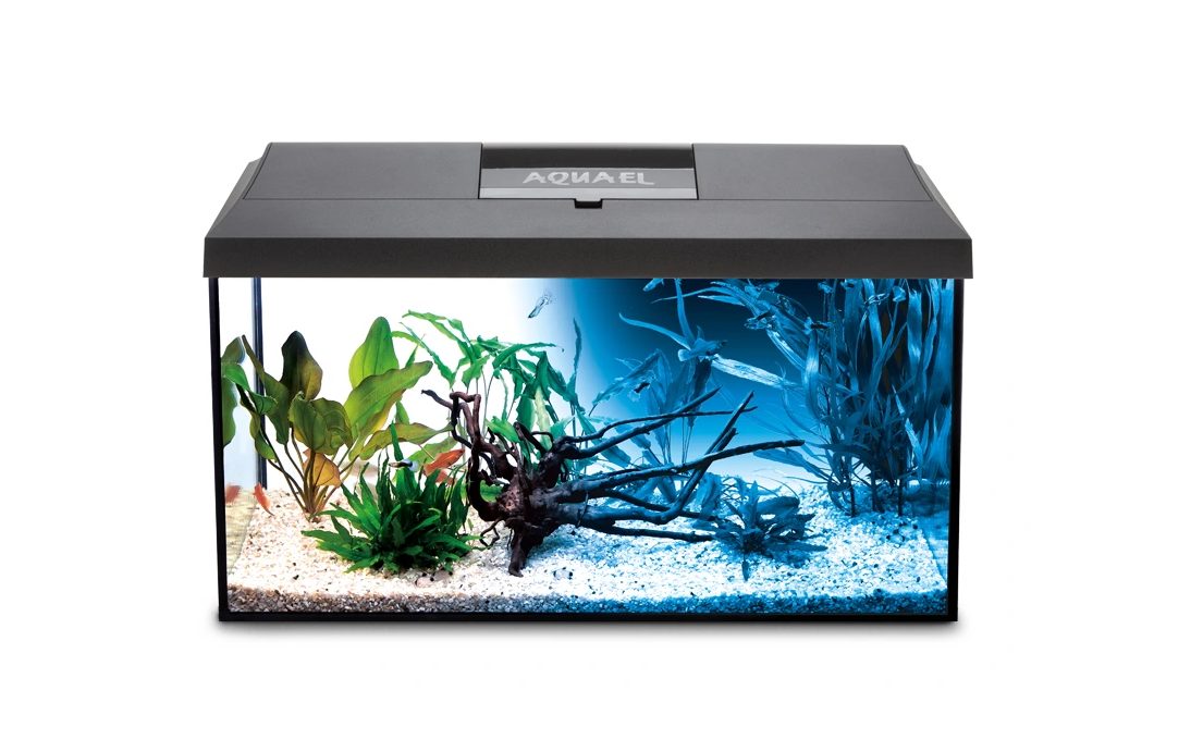 #SALE# Aquarium starter set 72l with filter heating rod etc. XXXXL starter set