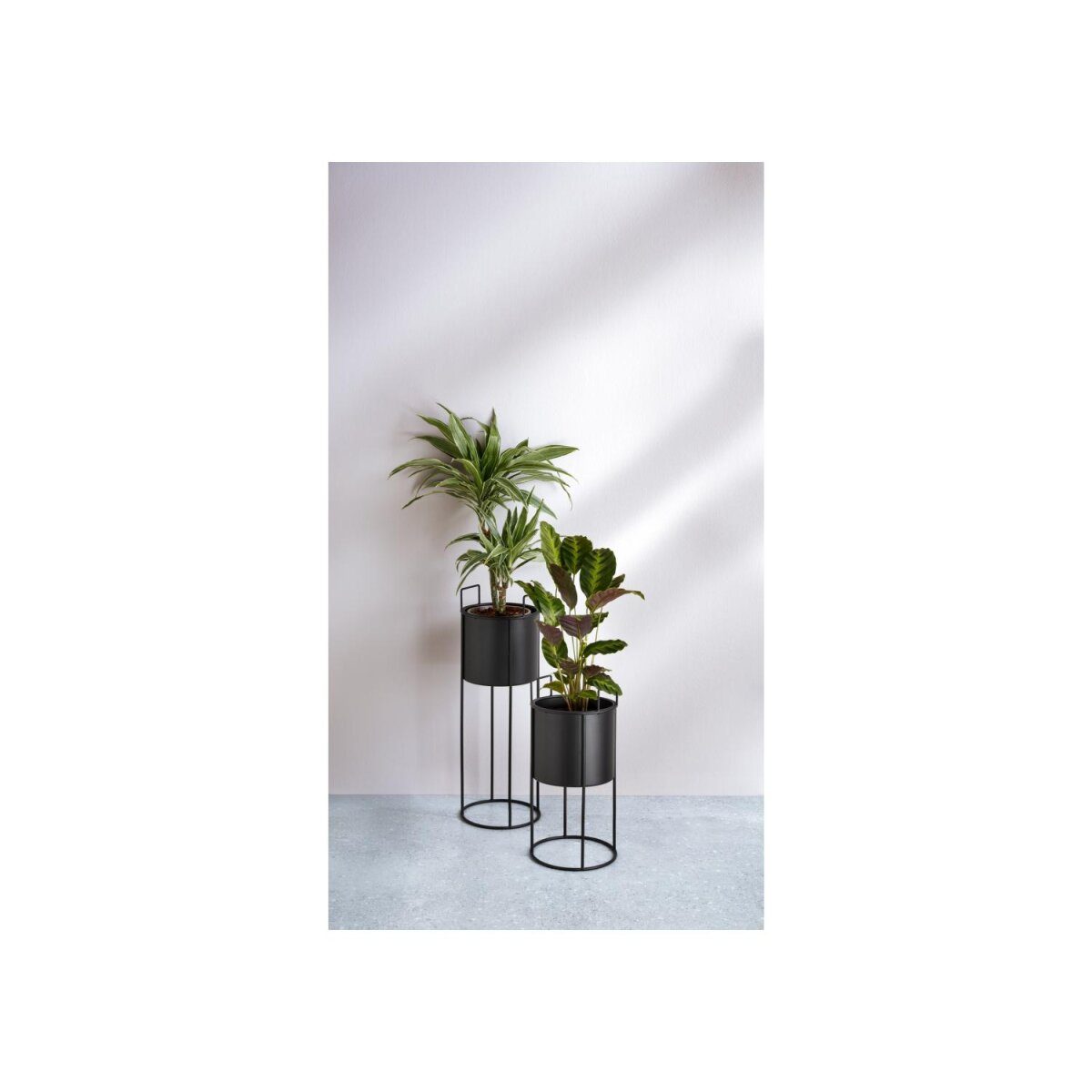 LIVARNO HOME Pflanzgefäß-Set mit Gestell/Dekoständer (set/rund)