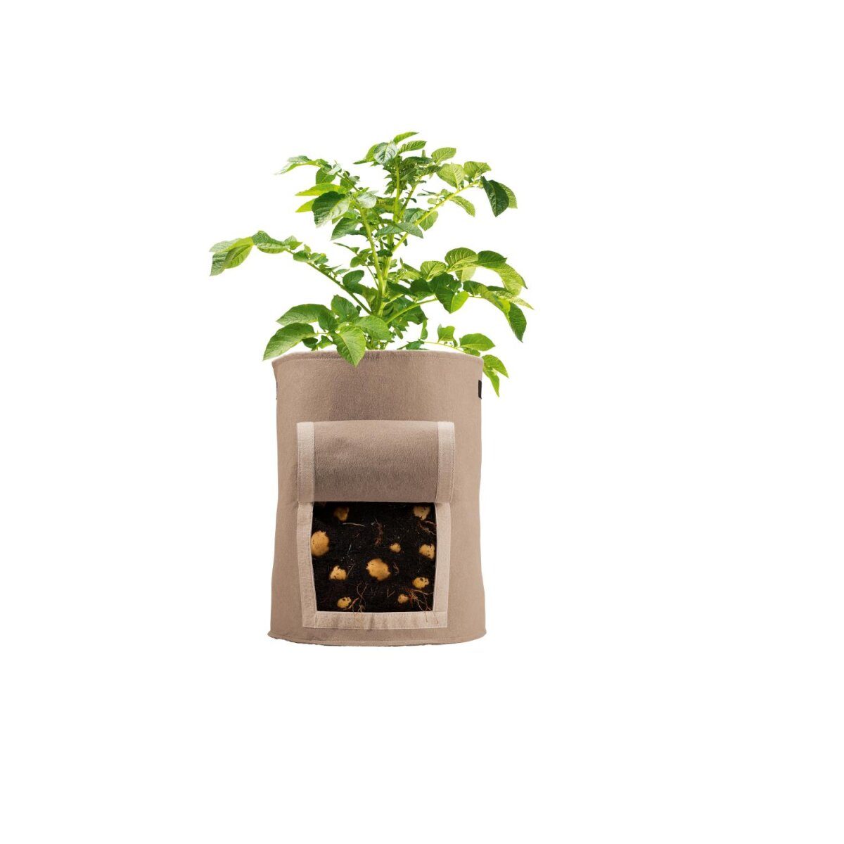 PARKSIDE® plantenzakkenset, 2 stuks, gemaakt van vilt