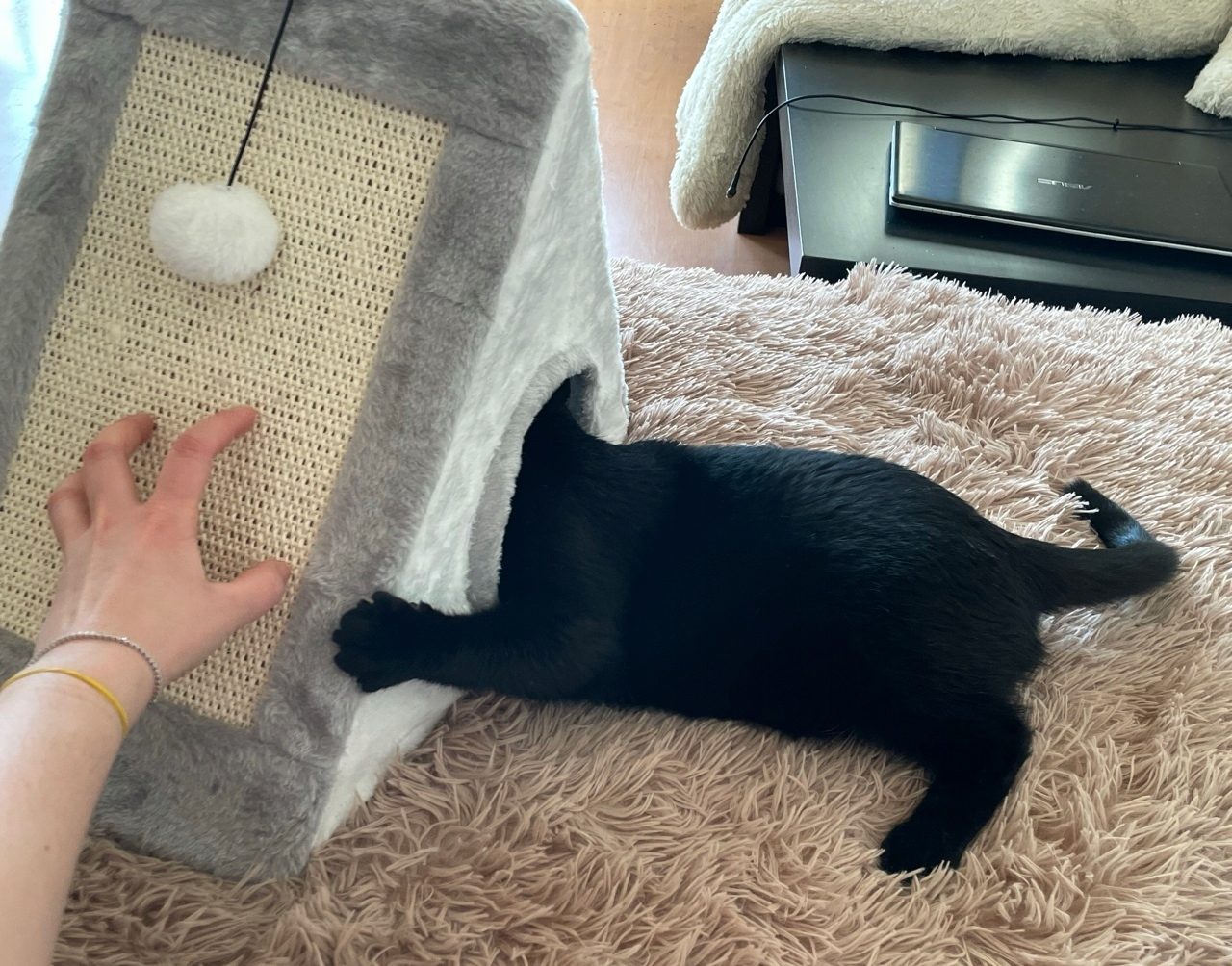 Playhouse chats lit animal lit pour chat lieu de couchage 50x25