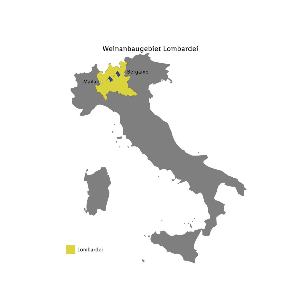 CÀ DEI FRATI Rosa dei Frati dry, rosé wine 2025