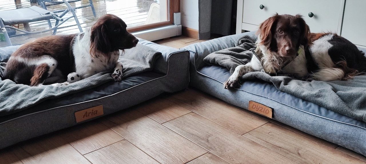 Design handmade dog bed dog cushion sofa dog sofa animal bed cat bed dog basket sleeping place with name plate