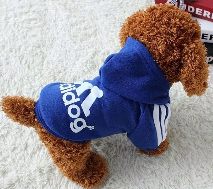 Adidog dog clothes, sweater, hooded jacket, outfit for dogs, puppies, color of your choice