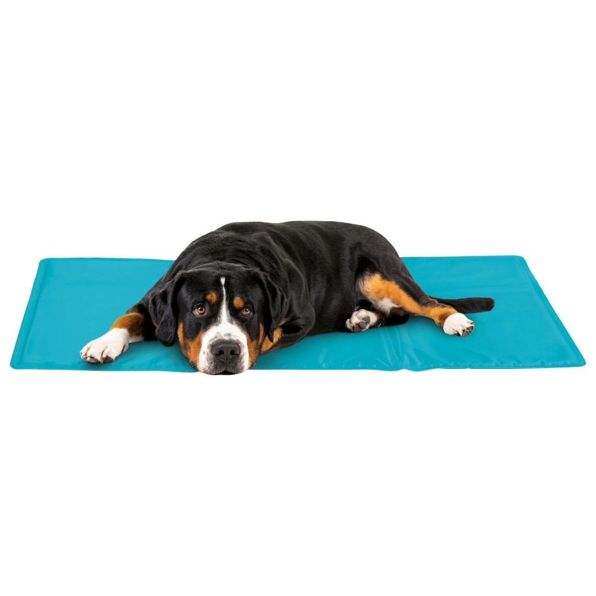 zoofari® dog cooling mat (blue)