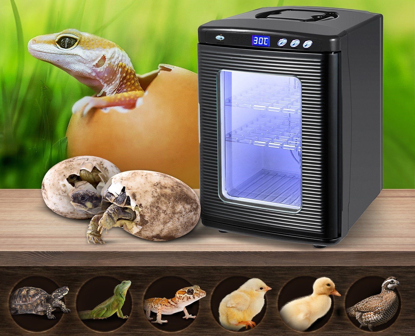 Inkubator Inkubator 25L Inkubator Reptilien Hühner etc. Wärmeschrank 5-60°C 220V für Bruteier Huhn Ente Vogel