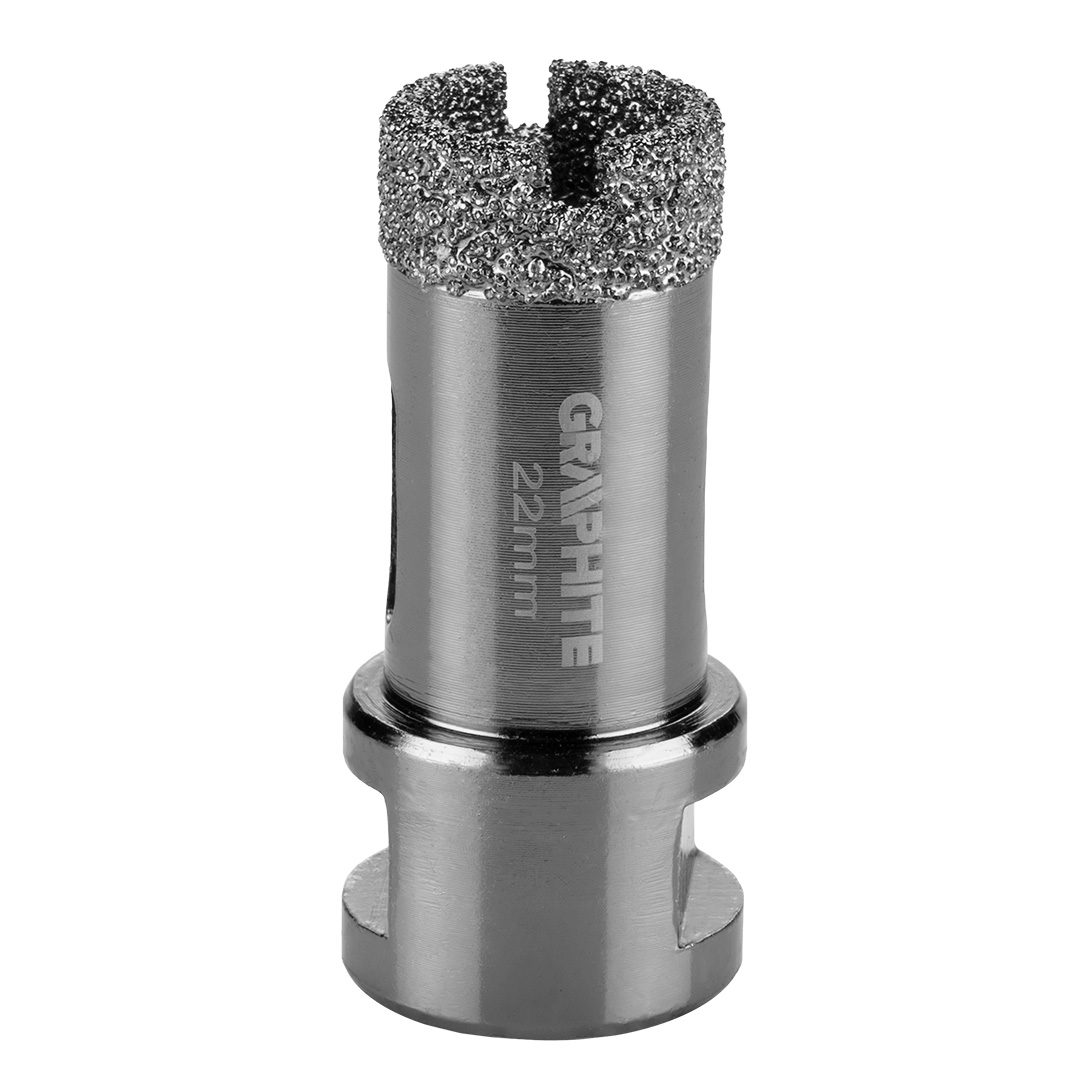 Foraminifera