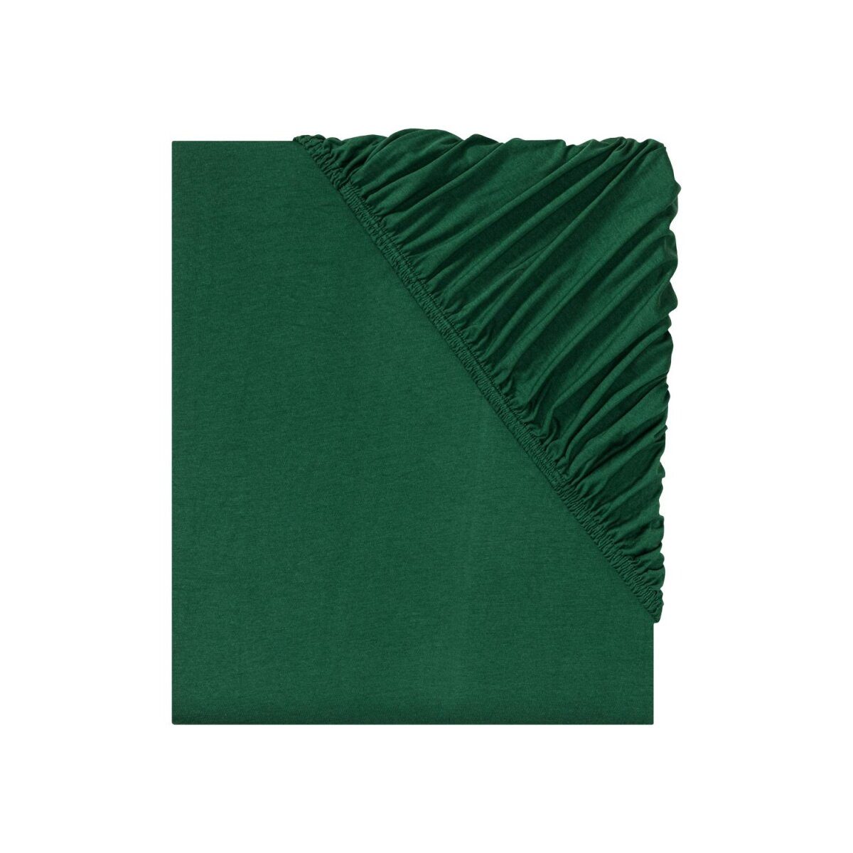 LIVARNO home Spannbettlaken, aus Jersey, 140-160 x 200 cm, grün